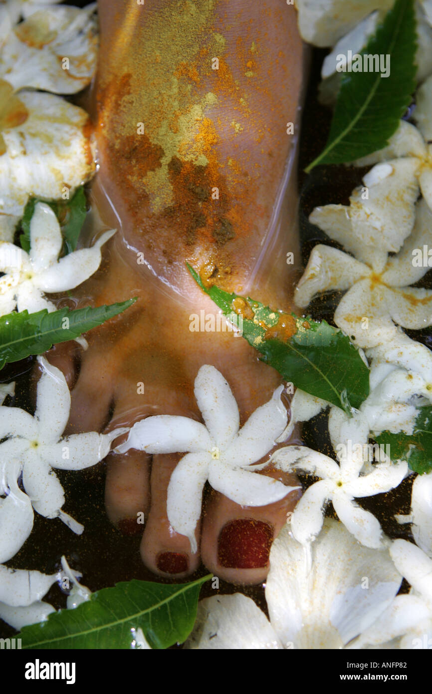 LKA, Sri Lanka Siddhalepa Ayurveda Resort , Foot massage, oiling