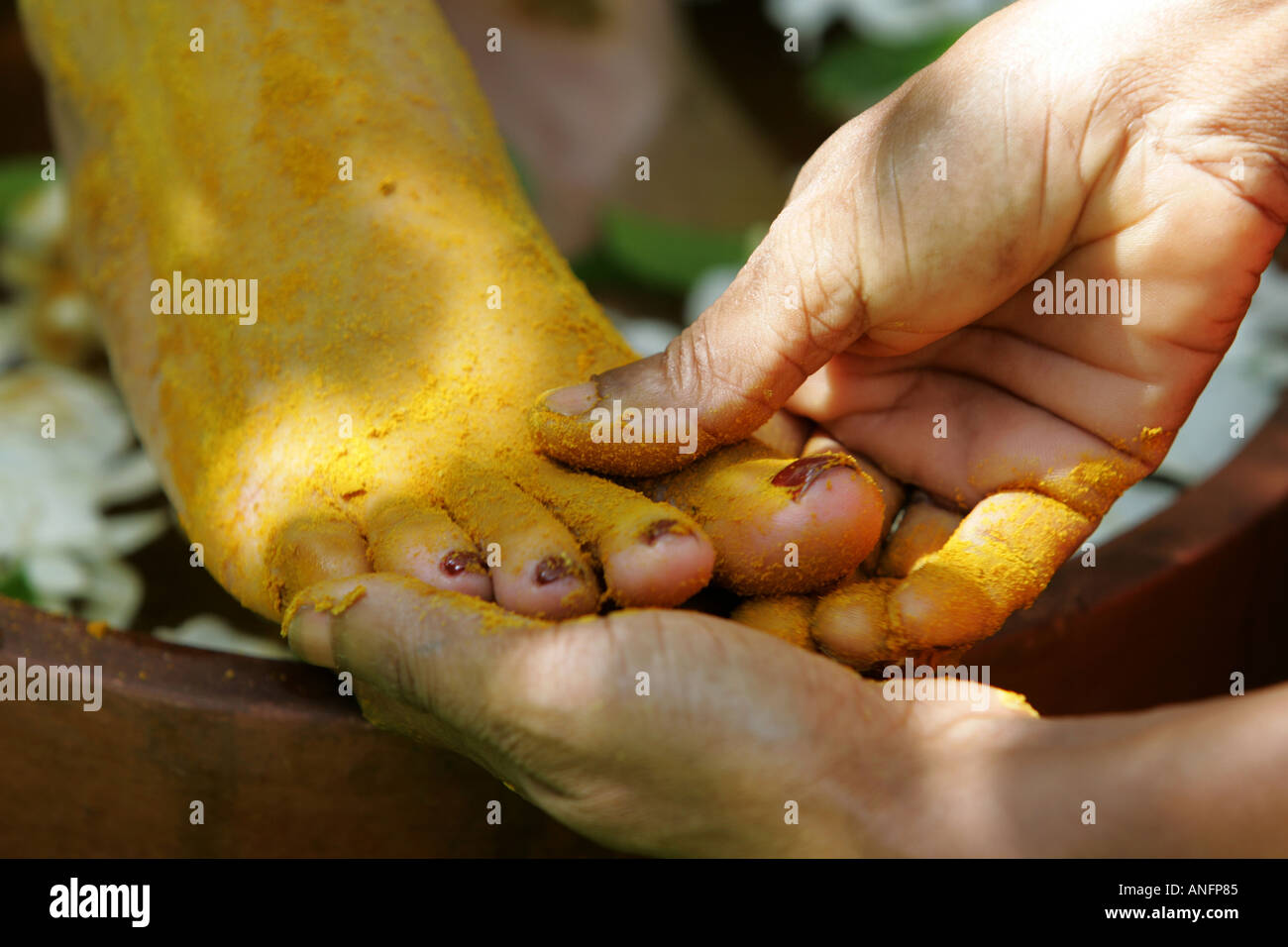 LKA, Sri Lanka Siddhalepa Ayurveda Resort , Foot massage, oiling
