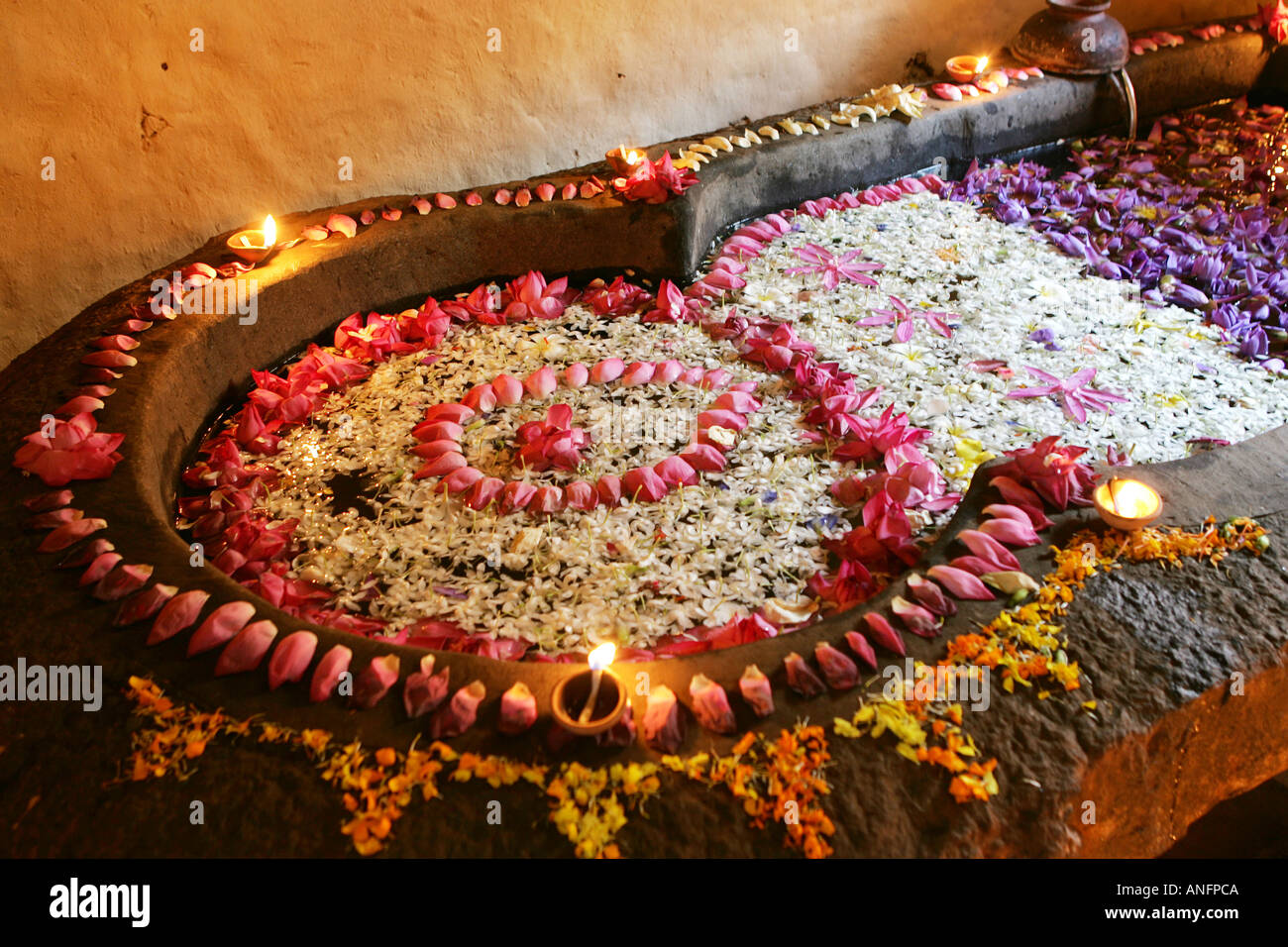 LKA, Sri Lanka Siddhalepa Ayurveda Resort , ayurvedic flower bath