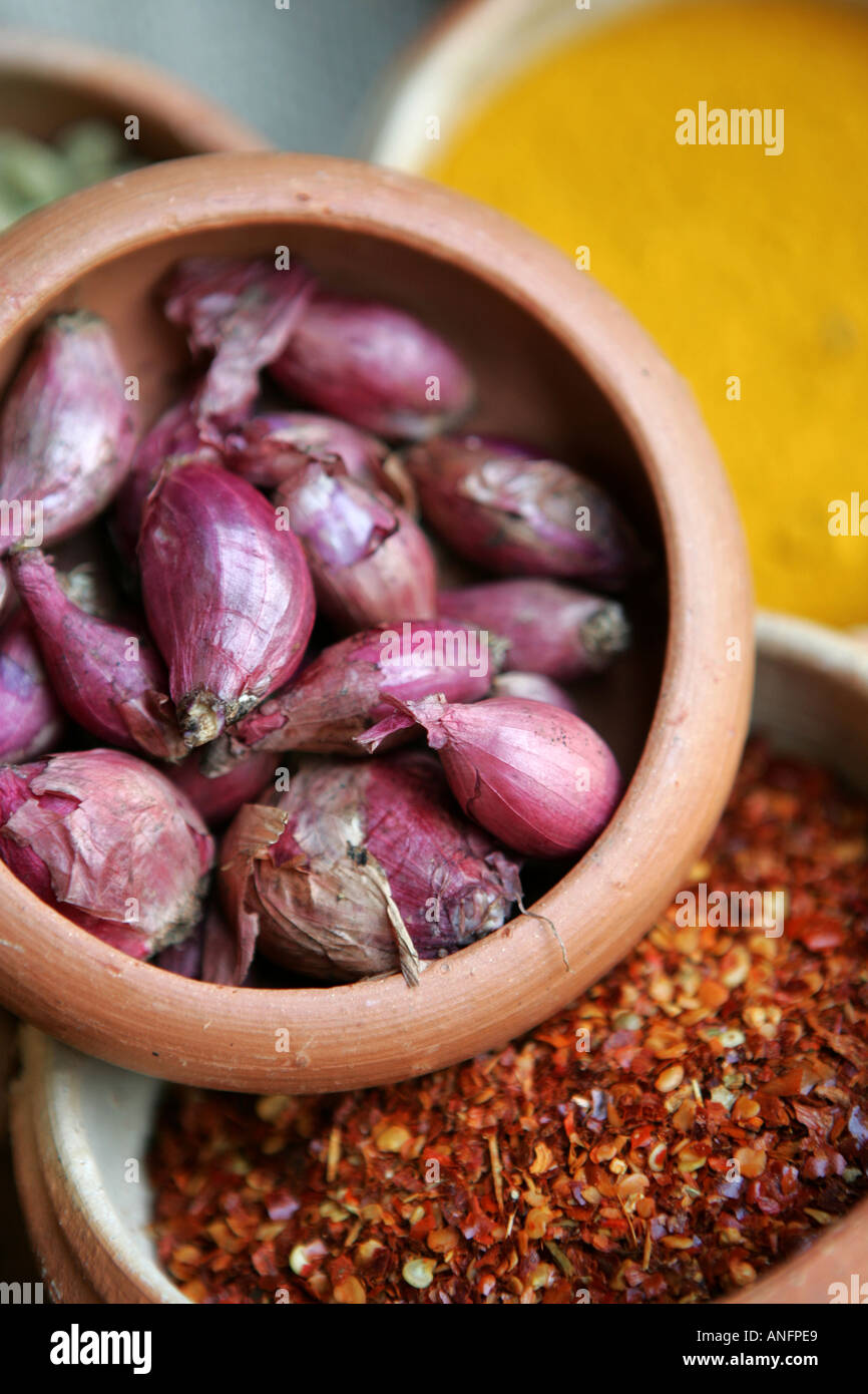 LKA, Sri Lanka Siddhalepa Ayurveda Resort , herbs, spieces for the