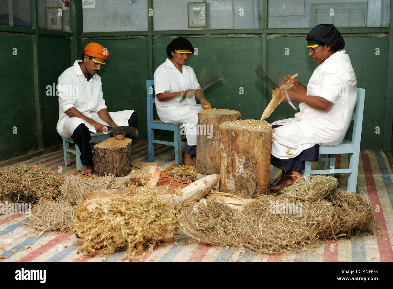 LKA, Sri Lanka Production of ayurvedic medicine at Hettigoda