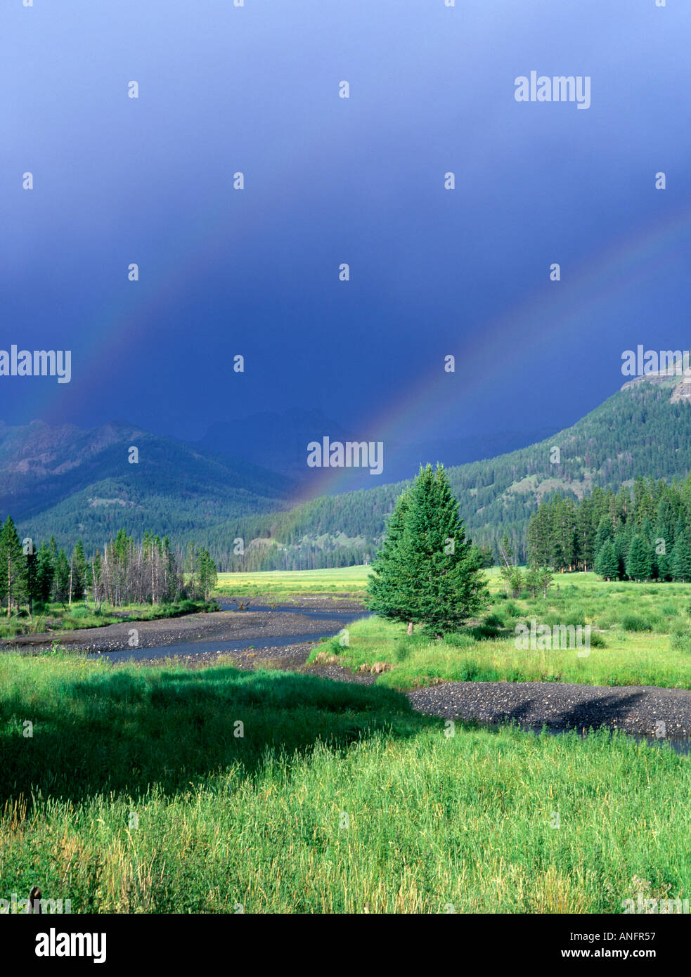 Lamar valley, wyoming hi-res stock photography and images - Alamy