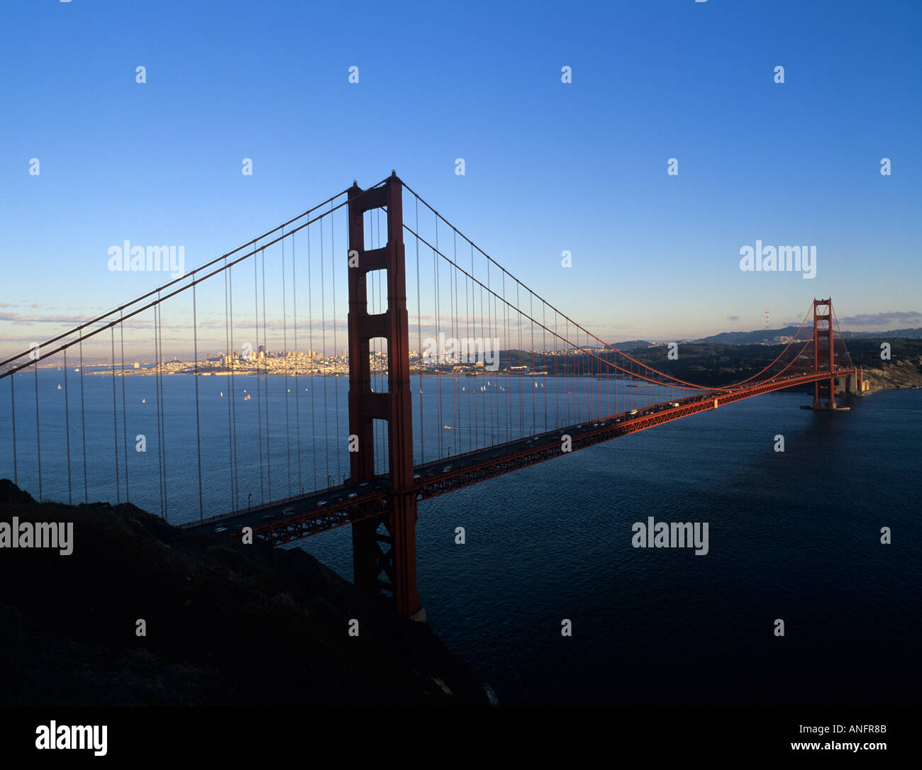My Image 22