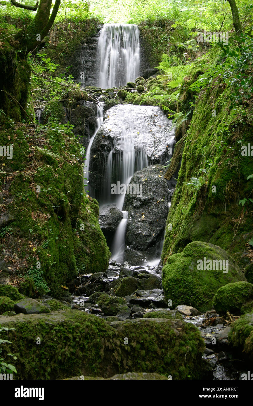 The Canonteign Waterfalls in Devon, England Stock Photo Alamy