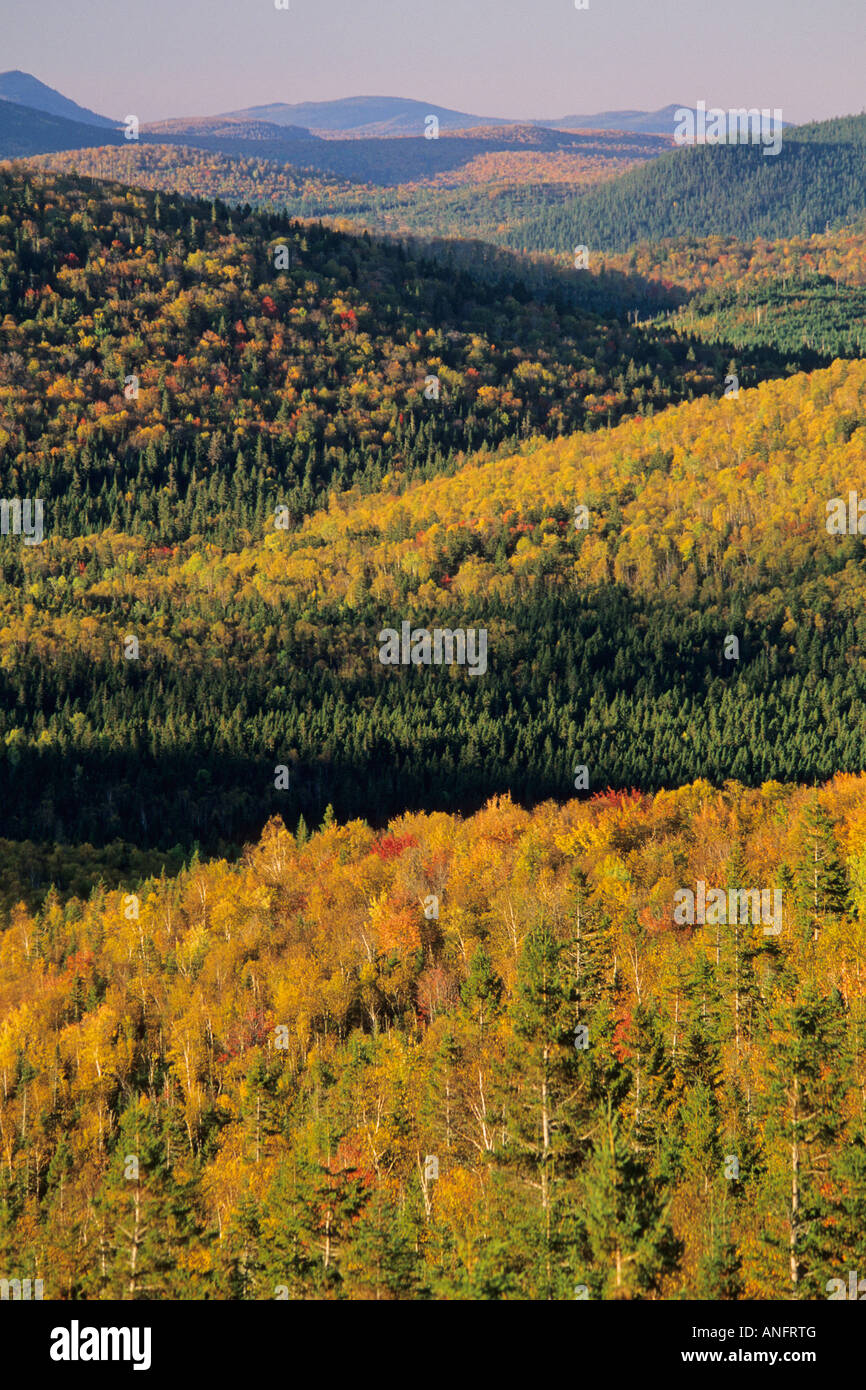 Sunrise, Mount Bailey overlook, Mount Carleton Provincial Park, New Brunswick, Canada. Stock Photo