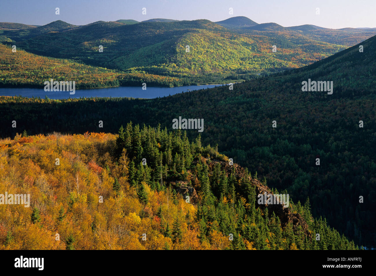 Sunrise, Mount Bailey overlook, Mount Carleton Provincial Park, New Brunswick, Canada. Stock Photo