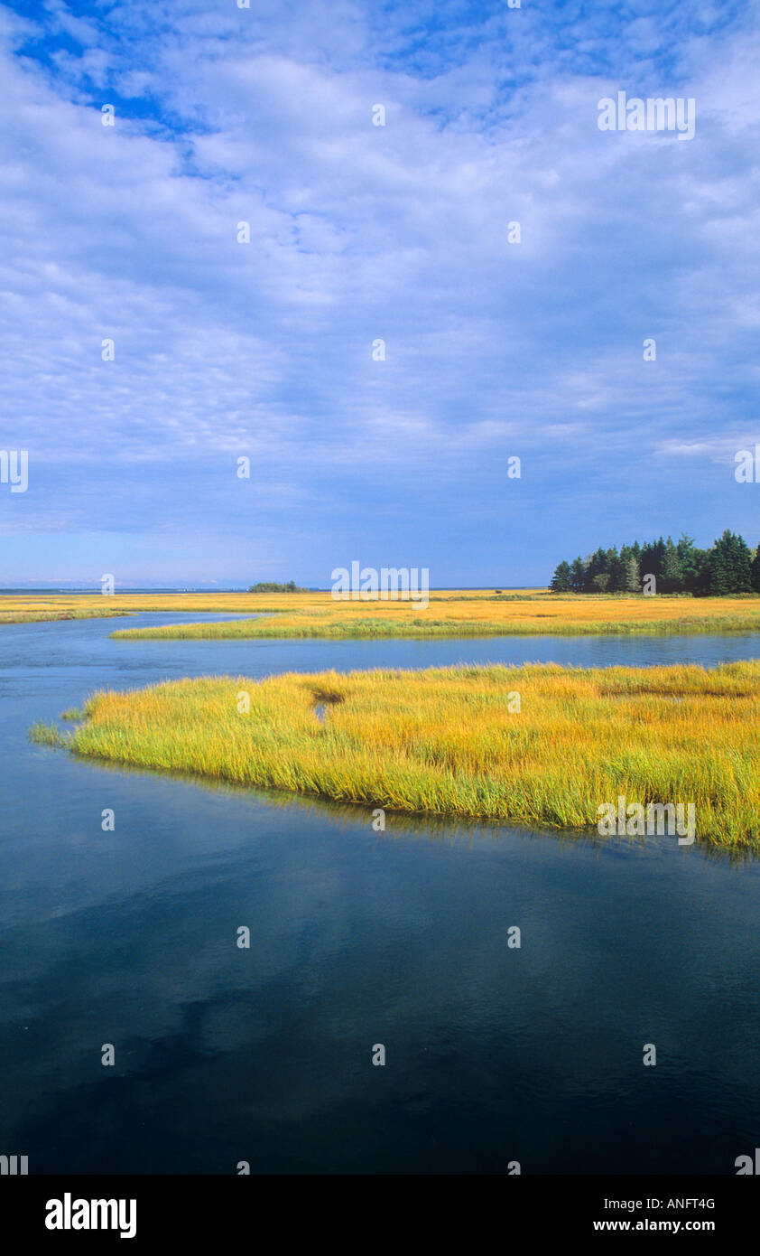 Fall coloured marsh grass on the Tantramar Marsh near Tidnish, Nova Scotia, Canada. Stock Photo