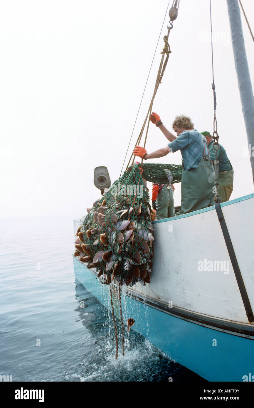 Fishermen Hauling in catch from Northumberland Strait, Prince Edward Island, Canada Stock Photo