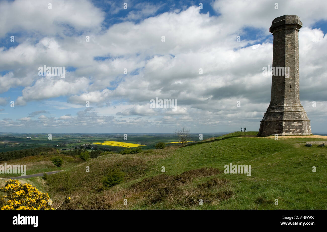 Hardy's Monument Black Down Hill Nr Portesham Dorset England UK Stock Photo