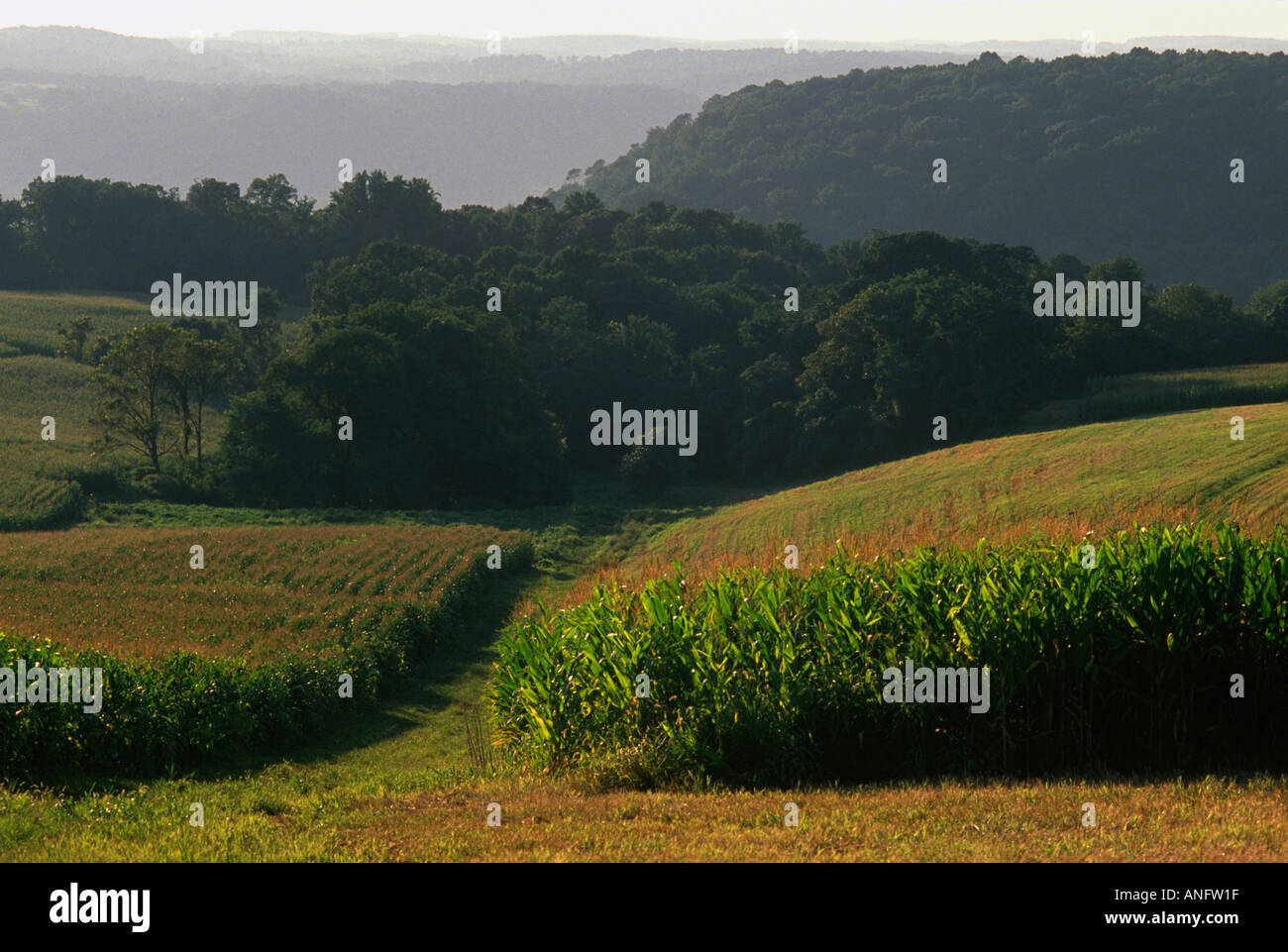 Agriculturally preserved farm on rolling hills next to Susquehanna River in Lancaster County Pennsylvania USA Stock Photo