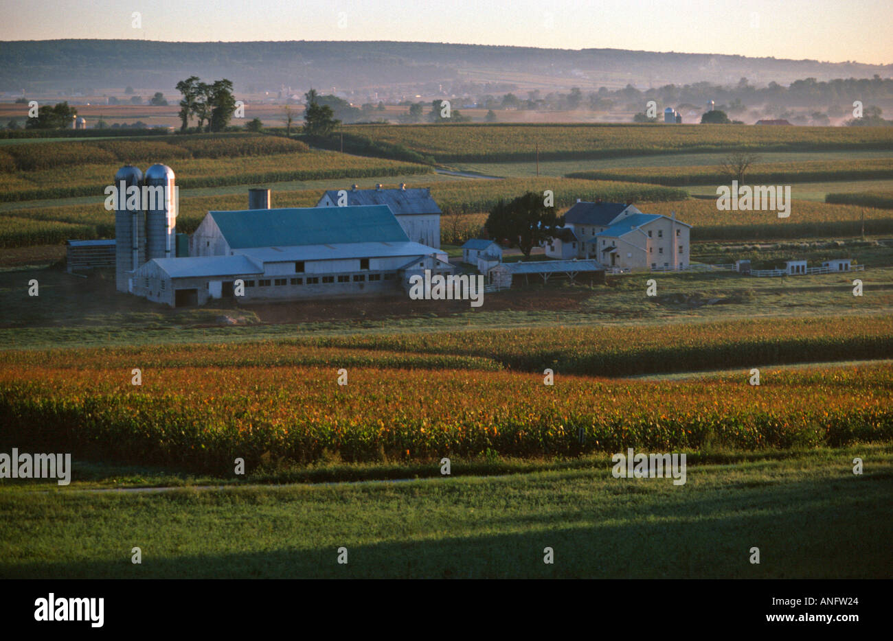 Amish dairy farm at sunrise surrounded by corn soybean and alfalfa fields in Lancaster County Pennsylvania USA Stock Photo