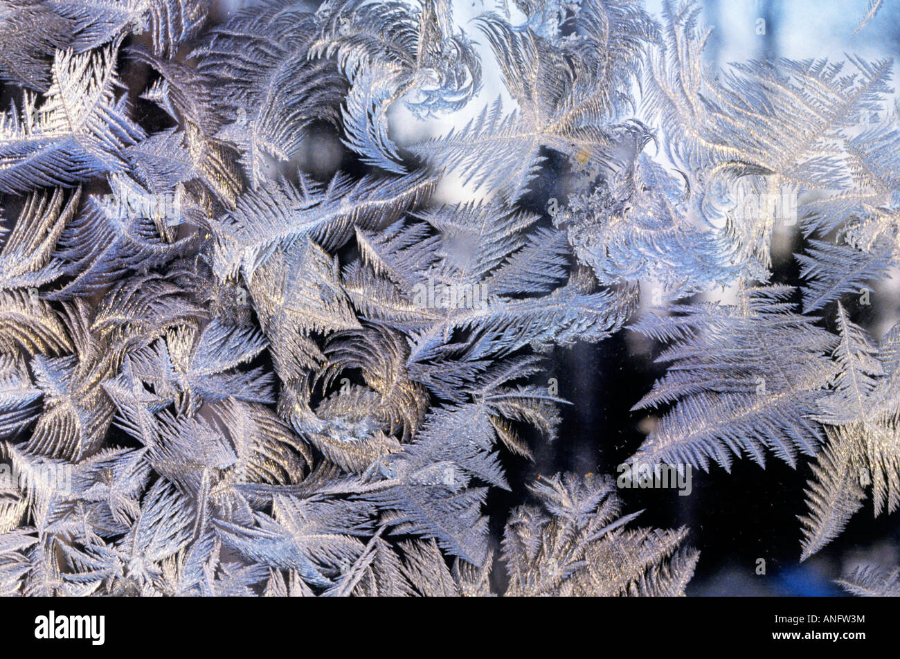 Ice crystals on window pane in winter, Canada Stock Photo - Alamy