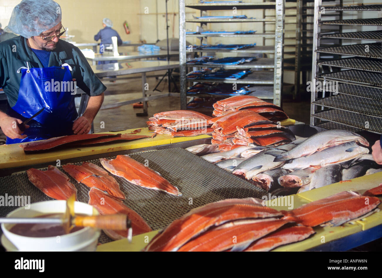 Processing Atlantic Salmon, Atlantic Fish Specialties, Prince Edward Island, Canada. Stock Photo
