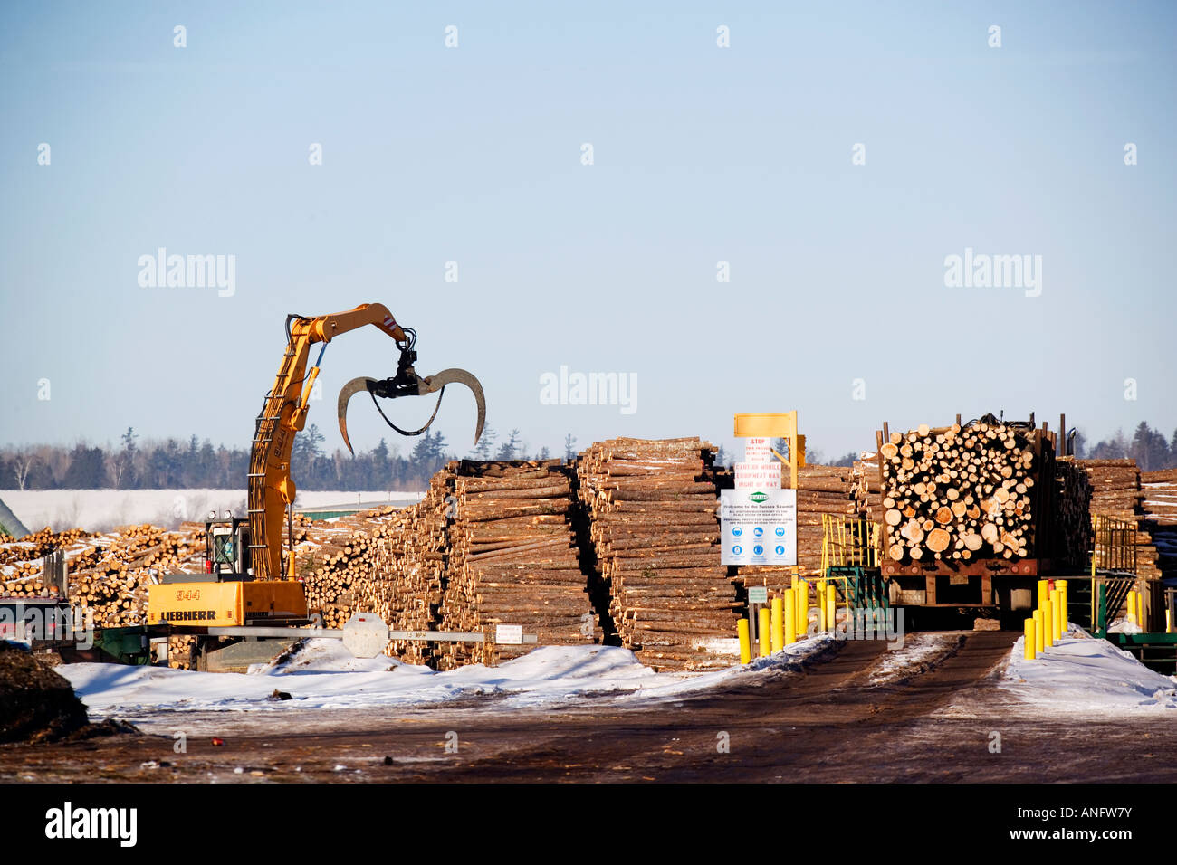 Pulp wood hires stock photography and images Alamy