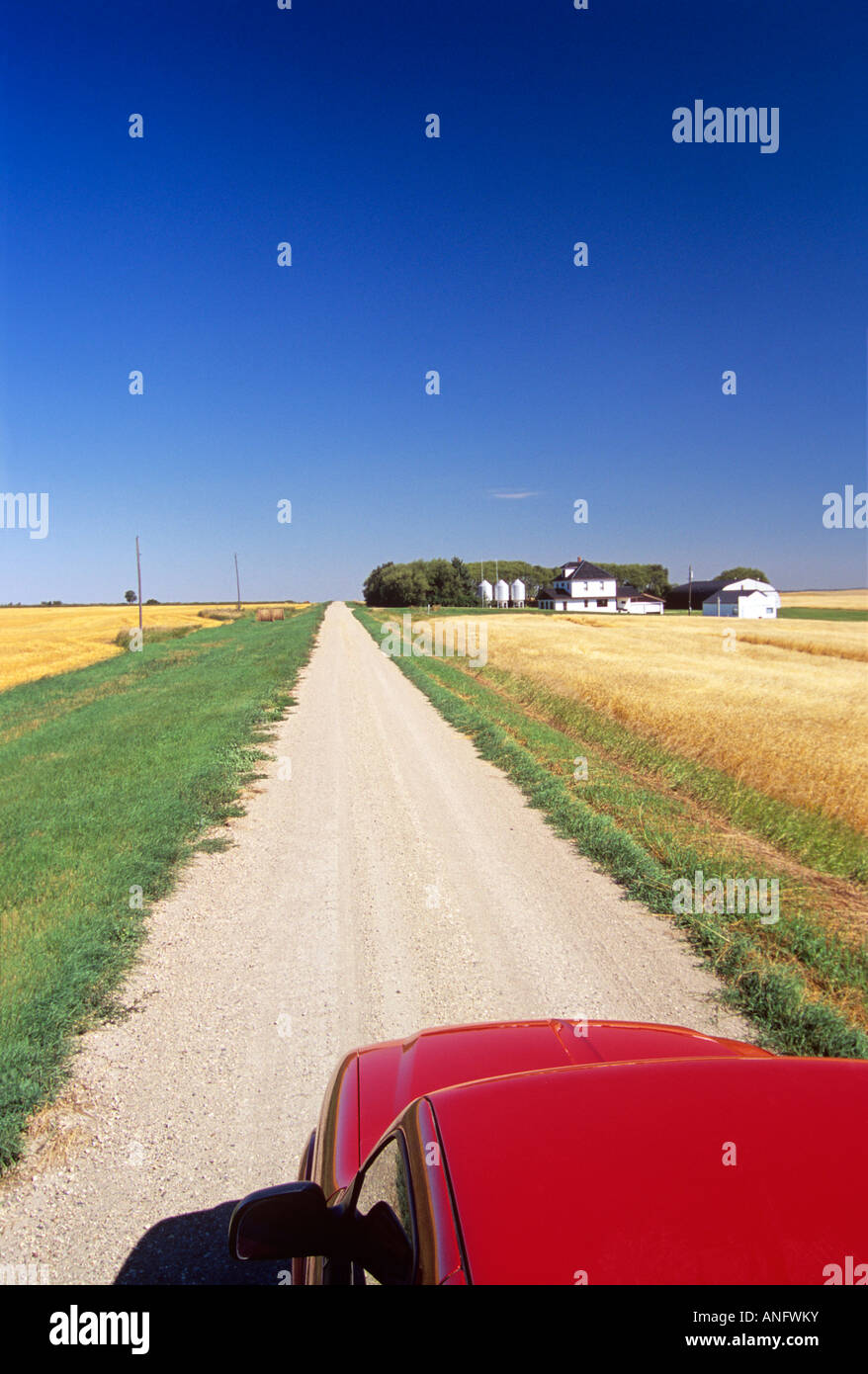 Truck on country road through wheat fields, Tiger Hills, Manitoba, Canada. Stock Photo