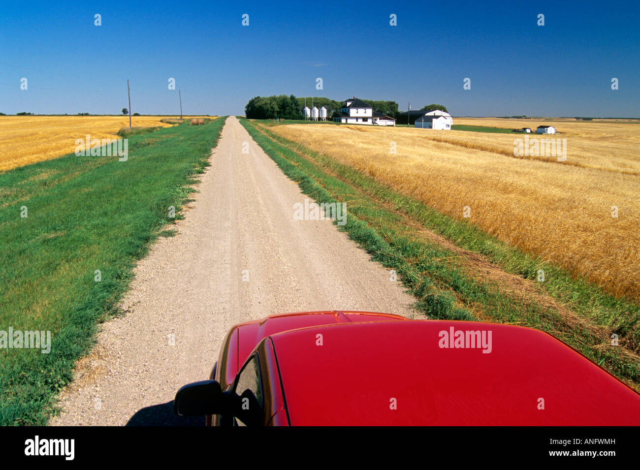 Truck on country road through wheat fields, Tiger Hills, Manitoba, Canada. Stock Photo