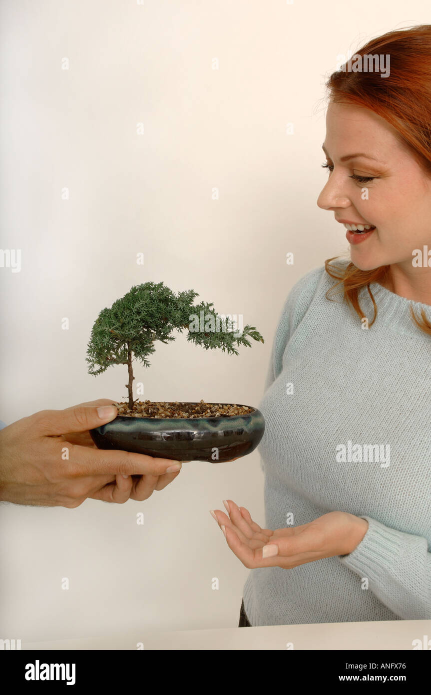Business man giving a woman a bonsai tree Stock Photo - Alamy