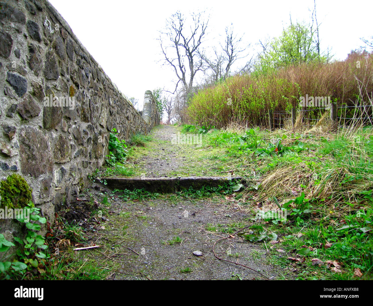 Lead down the garden path hi-res stock photography and images - Alamy