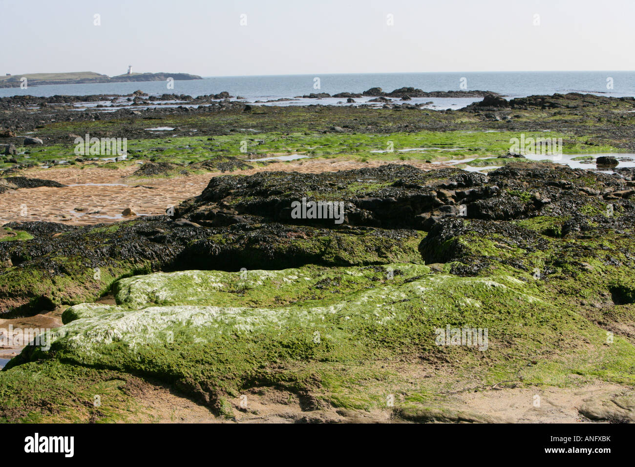 Kirkcaldy beach fife hires stock photography and images Alamy