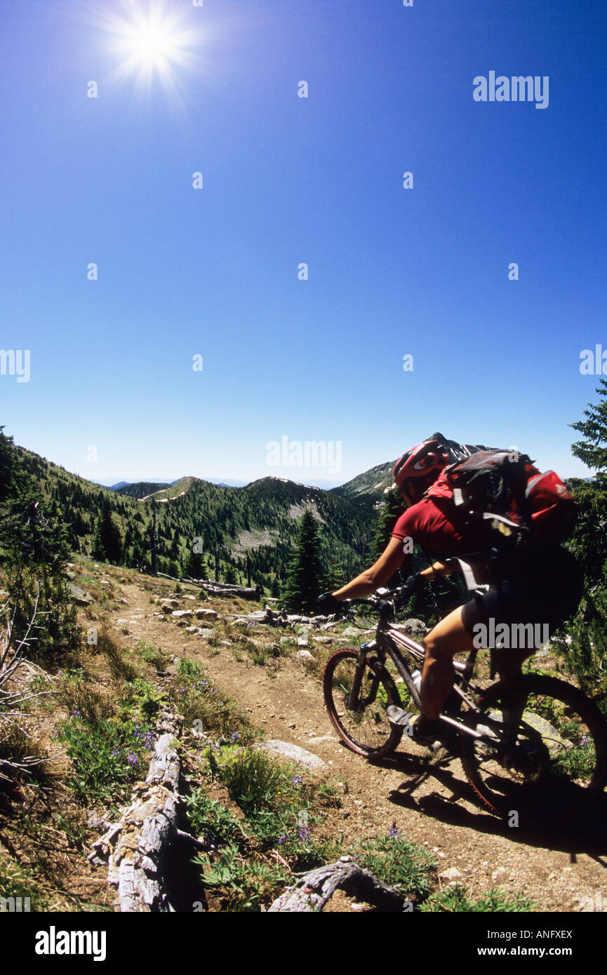 a young woman decending on single track on the Seven Summits trail in Rossland, British Columbia, Canada. Stock Photo