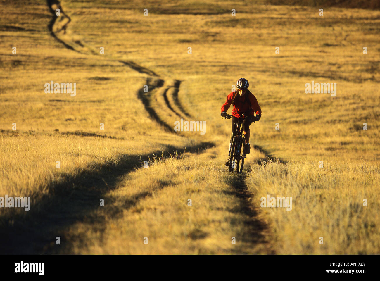 a young woman riding single track at Nosehill Park in Calgary