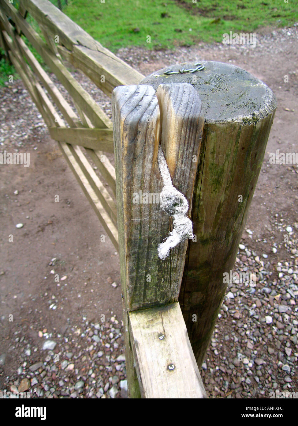 Rope latch on pass gate in countryside Stock Photo Alamy