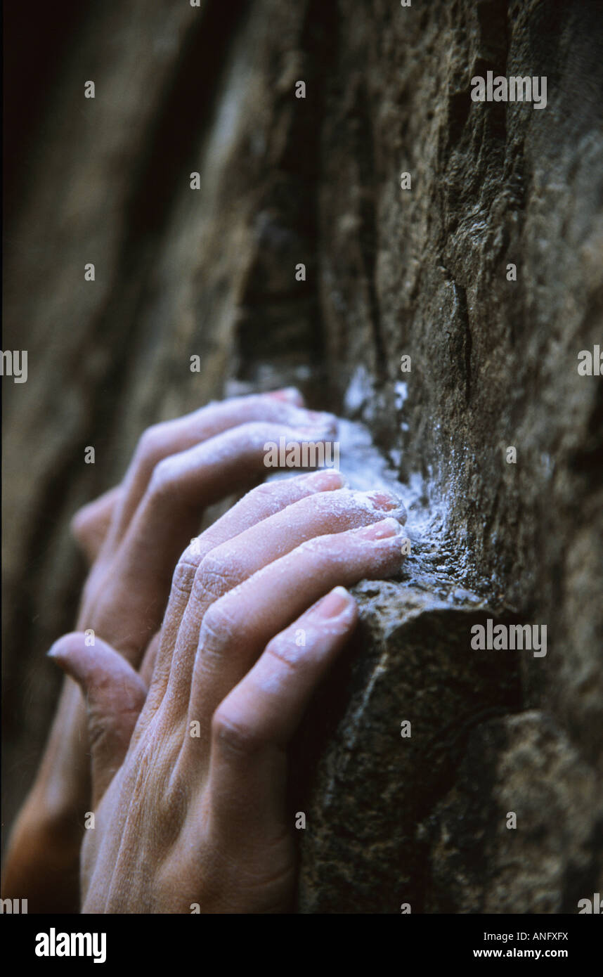 the chalked up hands of a determined climber hanging on to a ledge ...