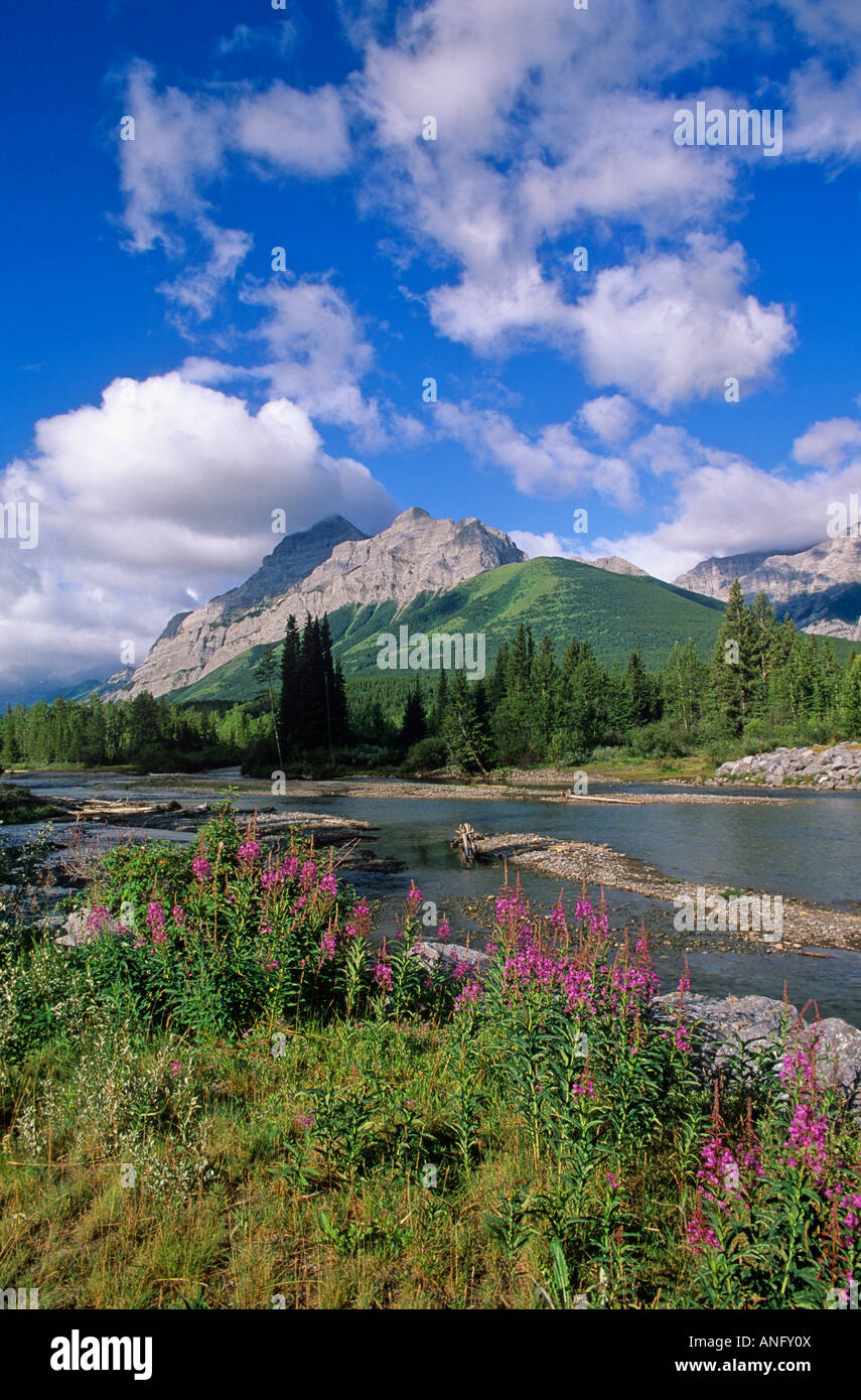 Kananaskis River and Mount Kid in Kananaskis Provincial Park, Alberta, Canada Stock Photo Alamy