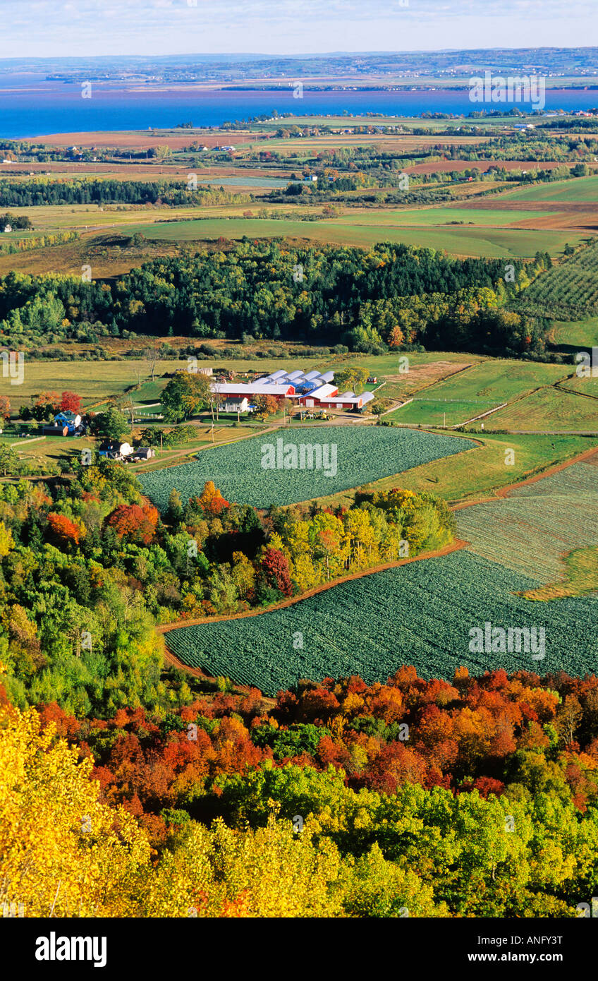 Farmland, Blomidon lookout, Nova Scotia, Canada Stock Photo Alamy