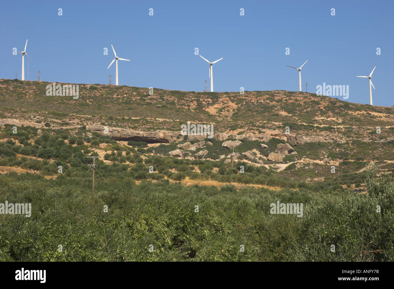 Greece Crete East Coast Palekastro area wind farm modern windmill producing electricity view with olive trees in frgd  Stock Photo