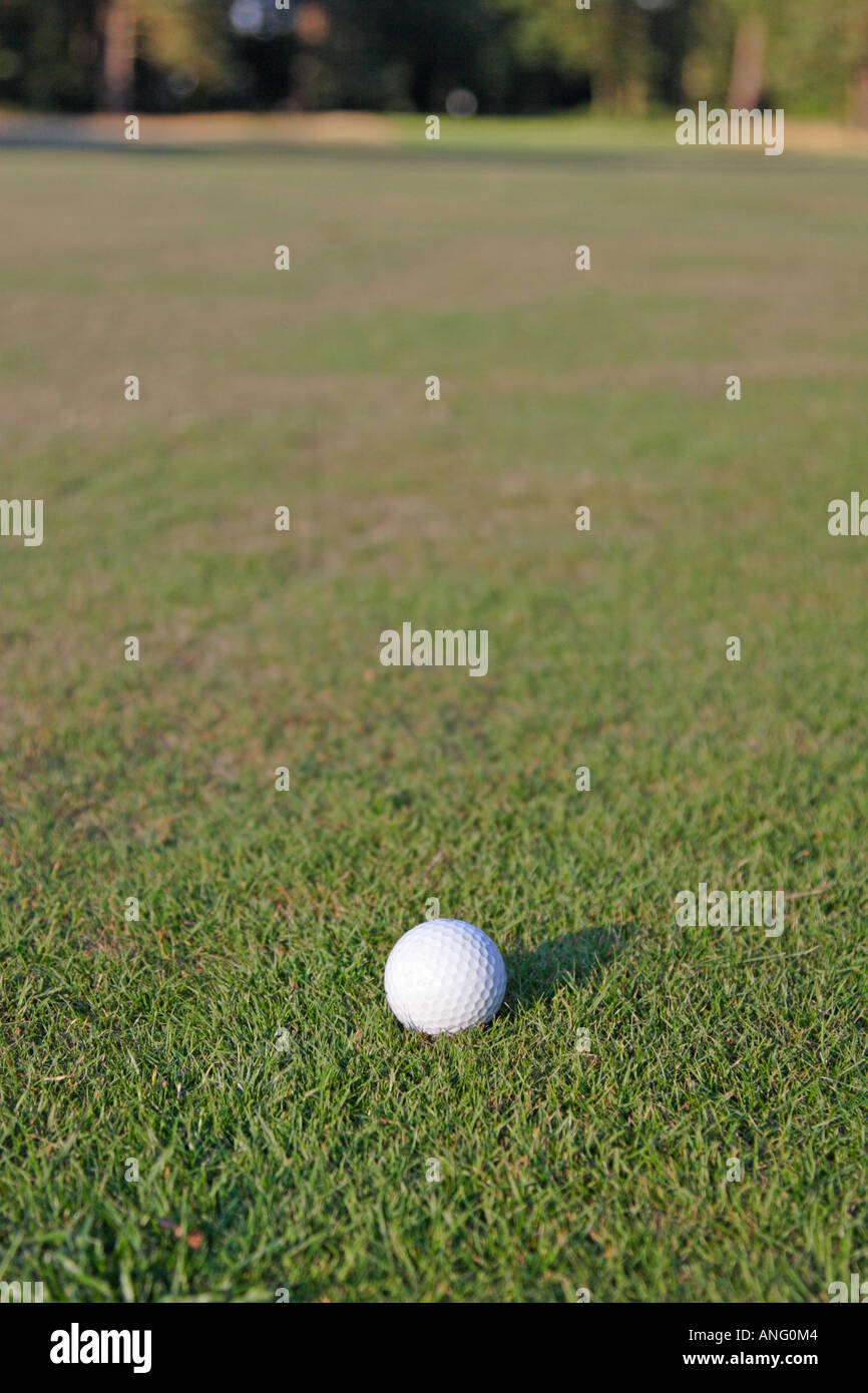 Golf ball sitting on fairway in sunlight Stock Photo Alamy