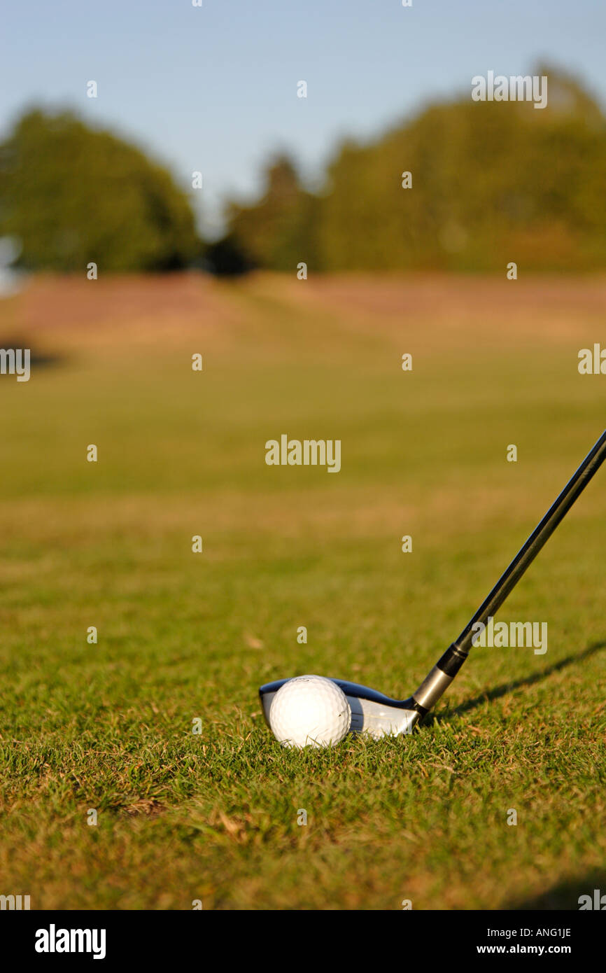 Golf ball on fairway being hit by fairway wood club Stock Photo Alamy
