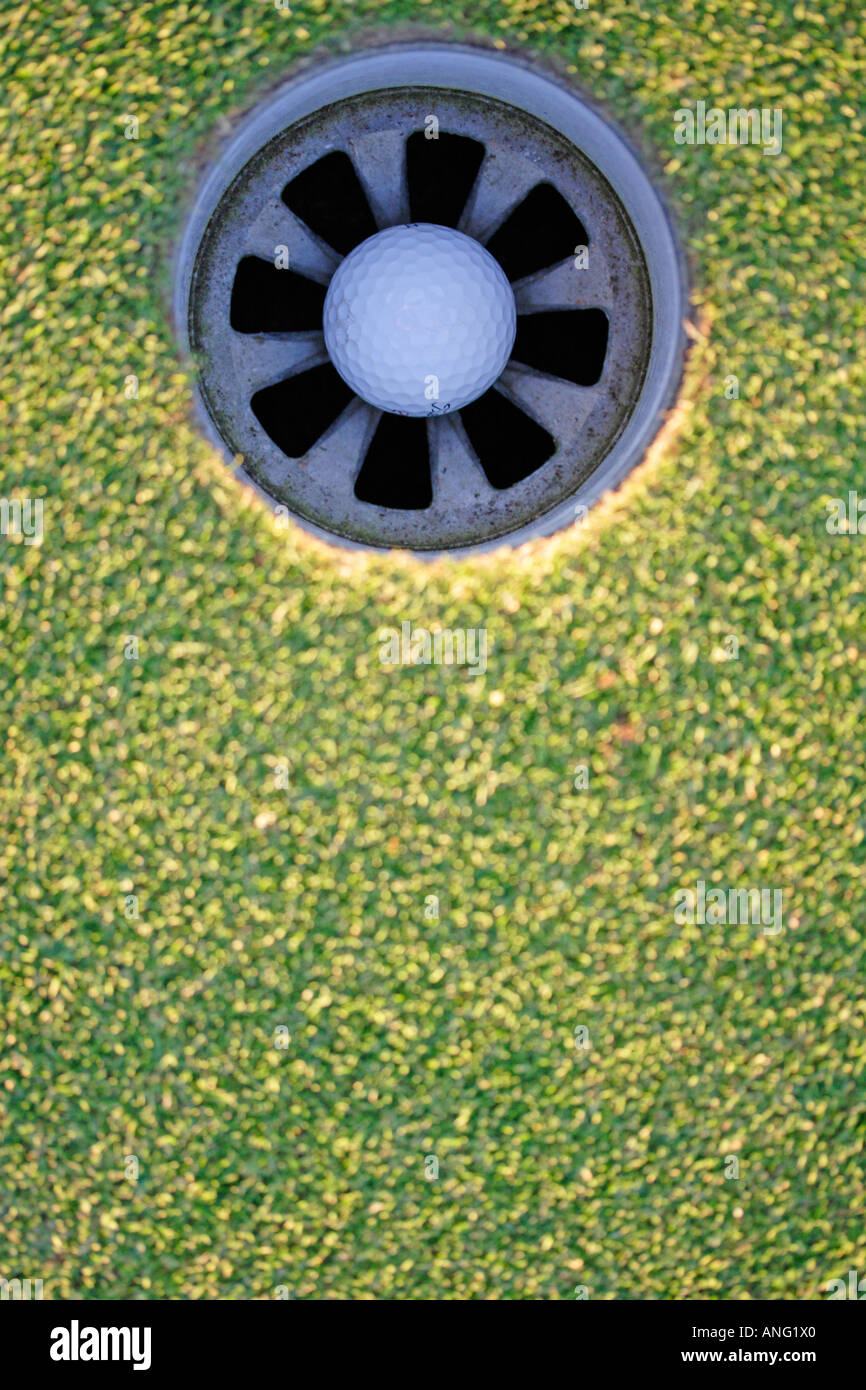 Golf ball in cup on putting green Stock Photo Alamy