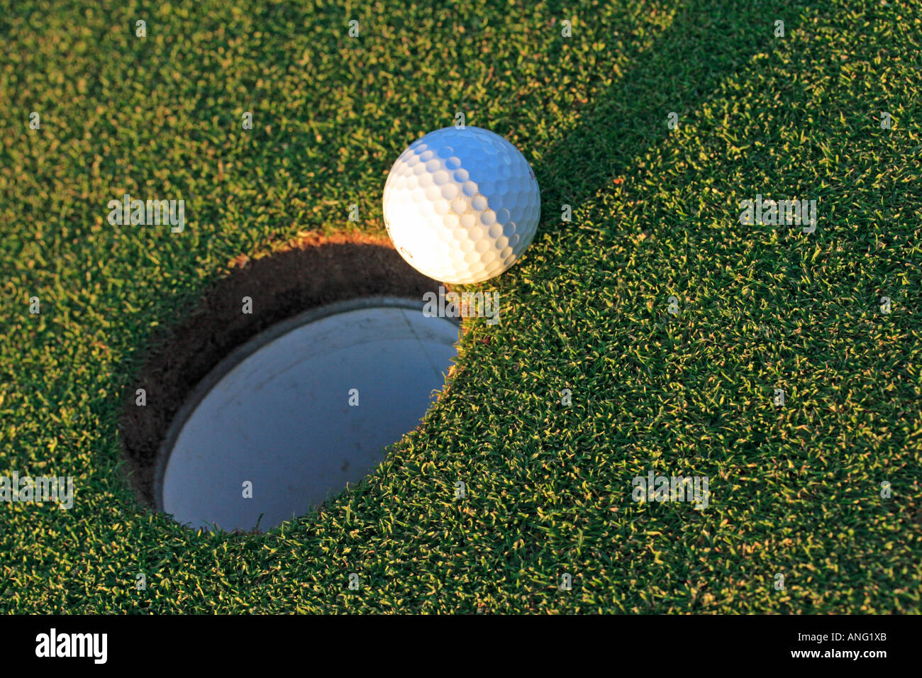 Golf ball on putting green going into cup Stock Photo Alamy
