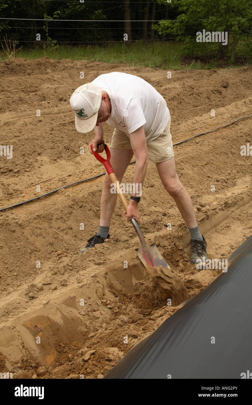 Man securing black plastic mulch edges with soil in field of small