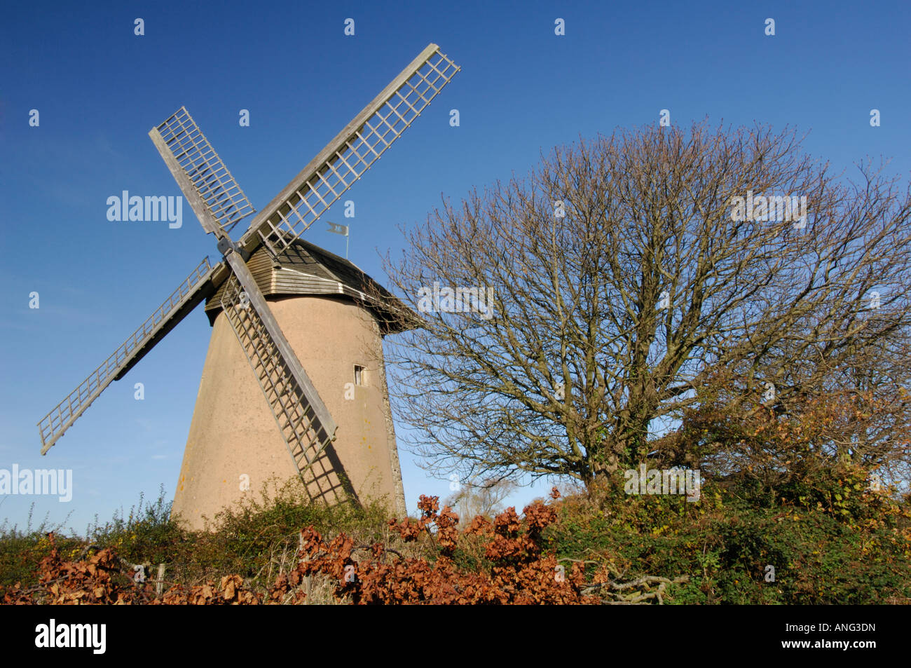 bembridge windmill on the isle of wight  national trust tourist attraction site Stock Photo