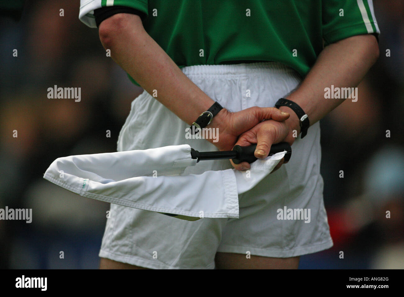 rugby union ref flag referee closeup decision Stock Photo Alamy