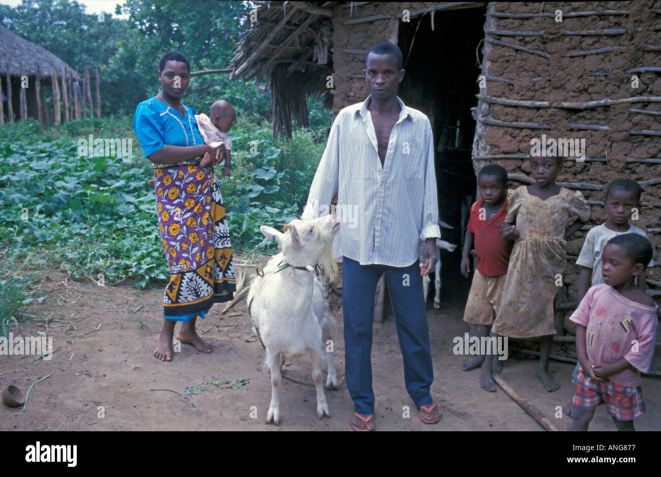 AFRICA KENYA KWALI Kenyan family with their Heifer Project International goats received for the community dairy goat project Stock Photo