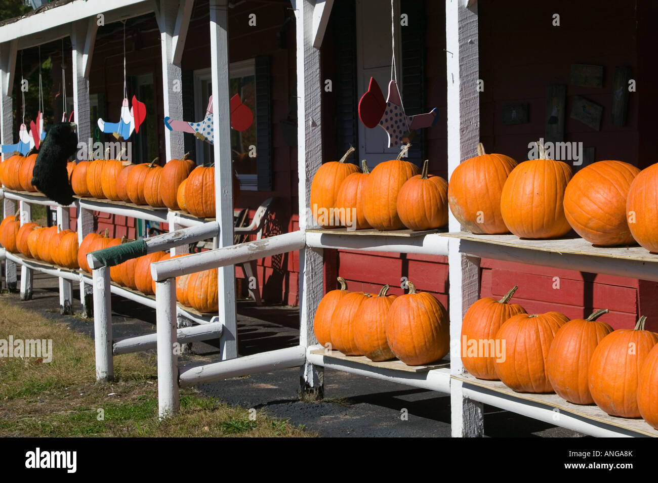 USA, WISCONSIN, Washburn: Lake Superior Shore, Pumpkin Stand / Autumn ...