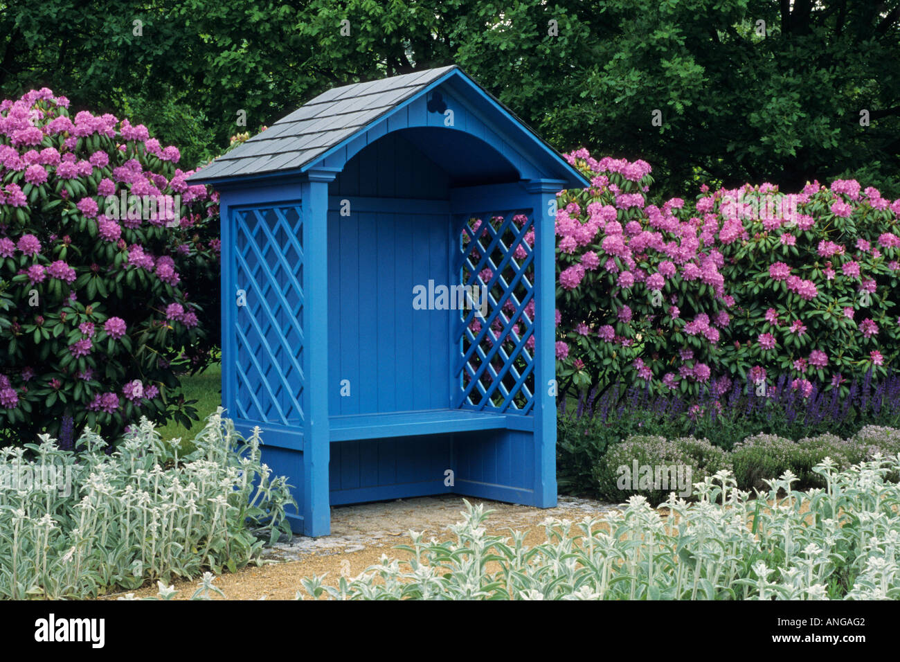 Garden pavilion with Catawba rhododendron (Rhododendron catawbiense) Stock Photo