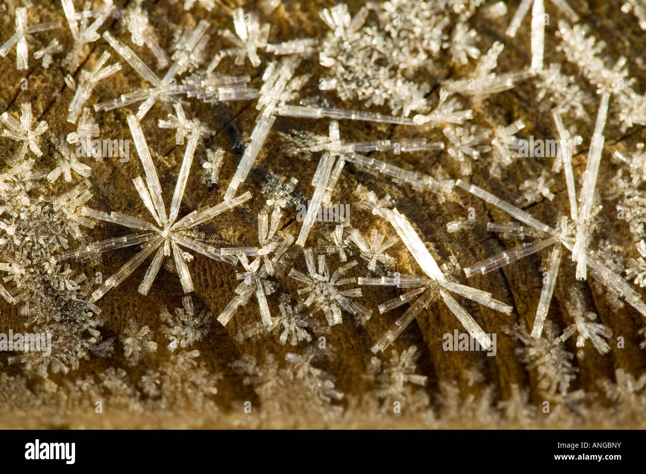 Ice crystals grown during a cold spell of weather Stock Photo