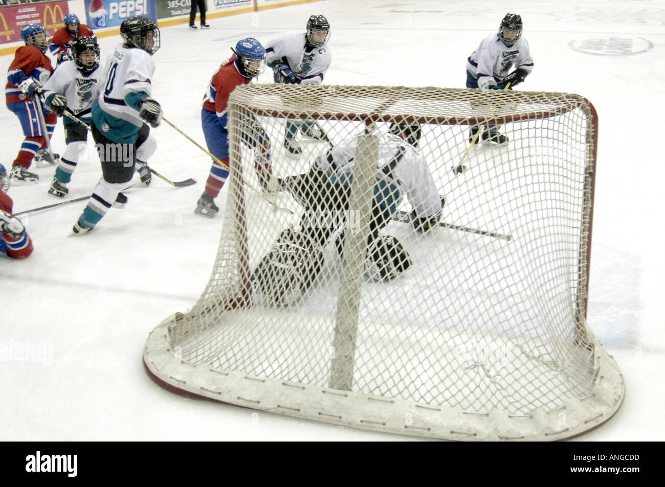 Ice Hockey Tournament action Silver Stick International Hockey playoffs at Port Huron Michigan