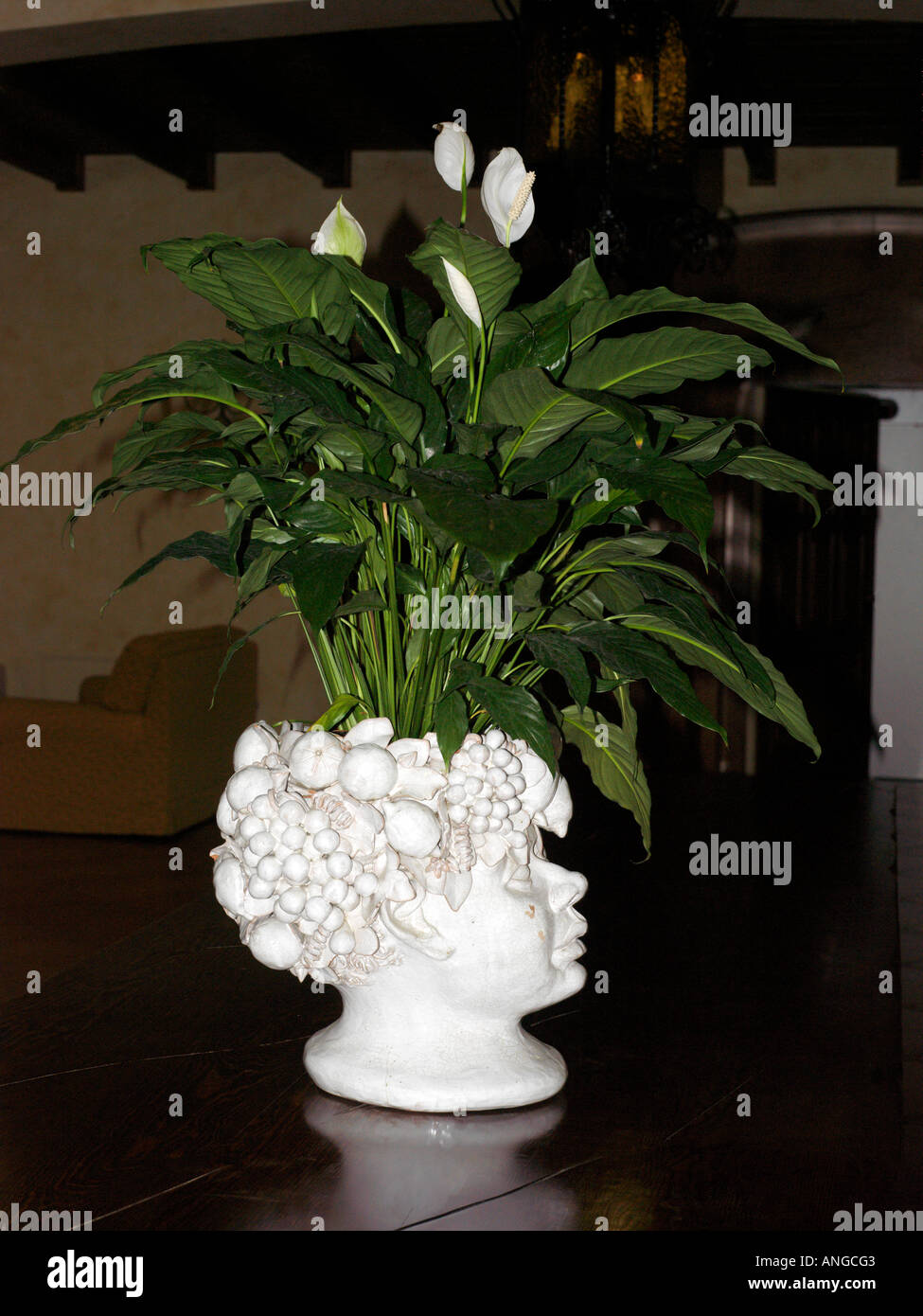 Palermo Sicily Italy Genoardo Park Hotel White Easter Lilies in a Typical Porcelain Head Vase Stock Photo
