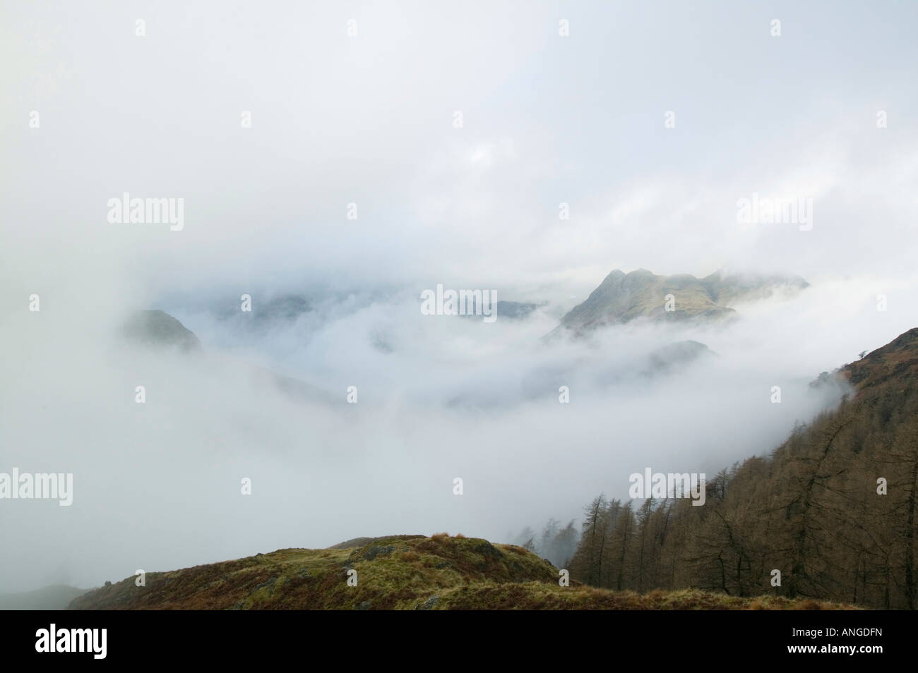 Misty conditions in Langdale in the Lake District UK Stock Photo - Alamy