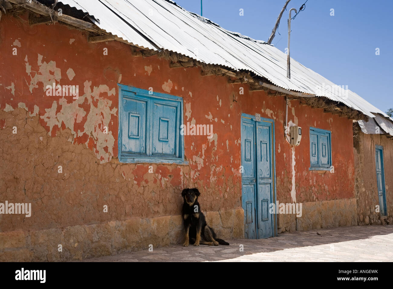 Belen Chile house and dog Stock Photo