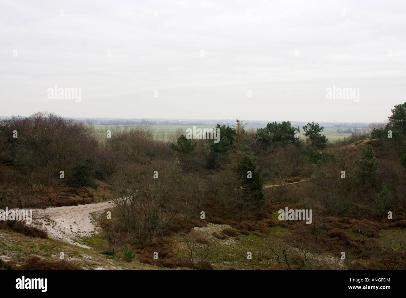 Dutch dunes at the town of Schoorl Stock Photo - Alamy