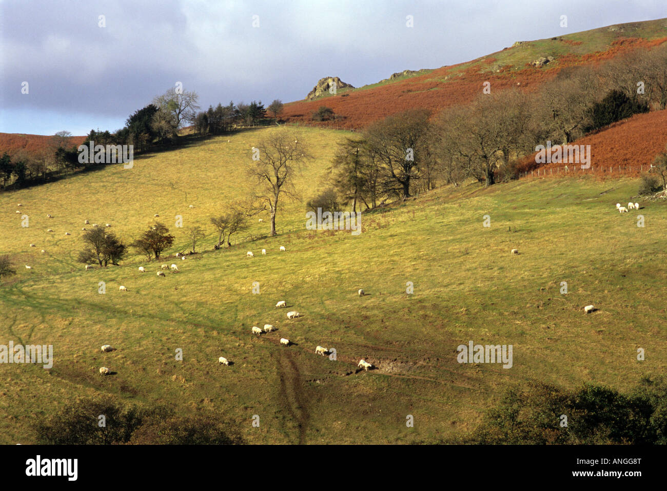 The Shropshire Hills at Hope Bowdler, near Church Stretton Stock Photo