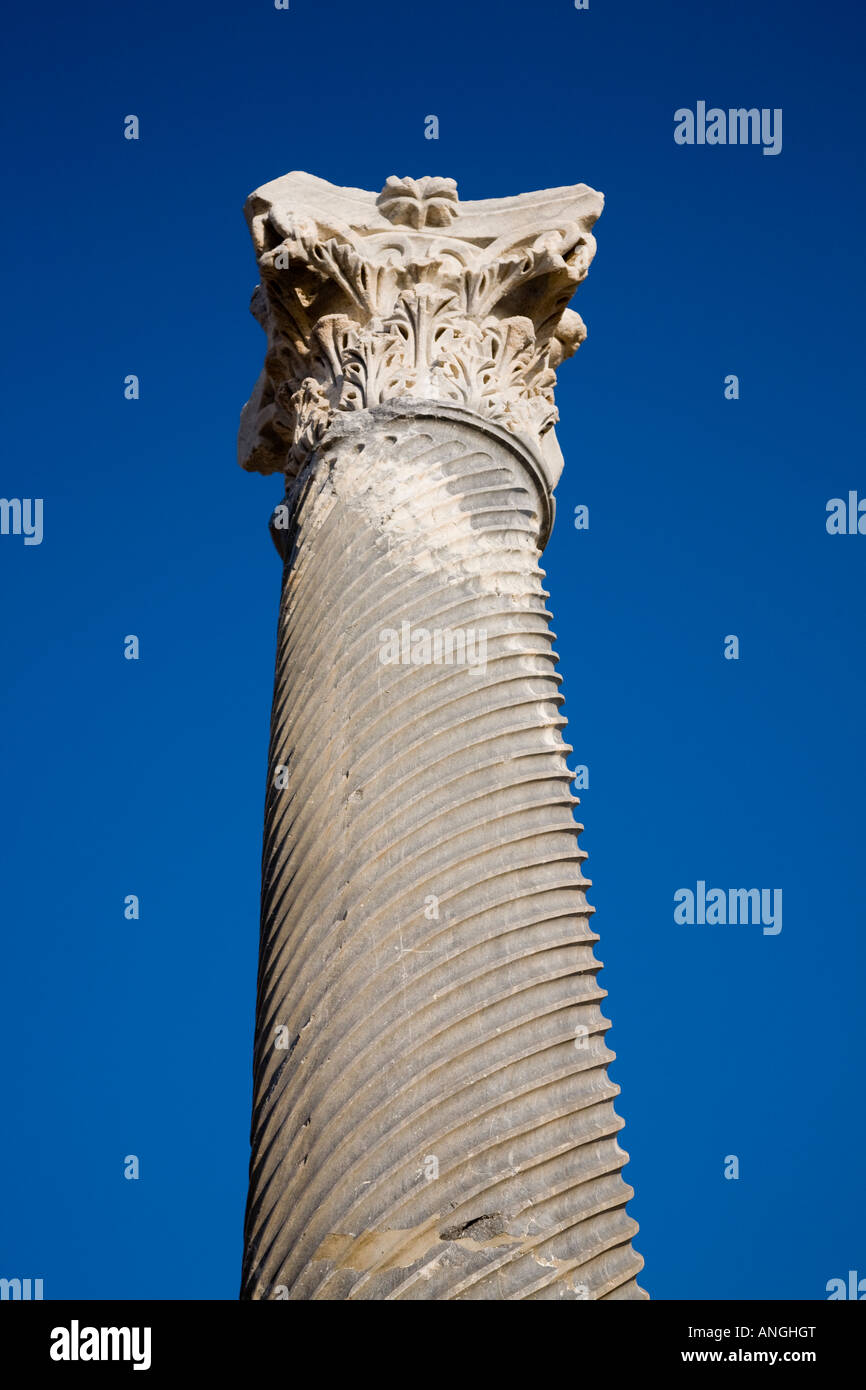 Restored Corinthian Carved spirally fluted Pillar Roman Column in