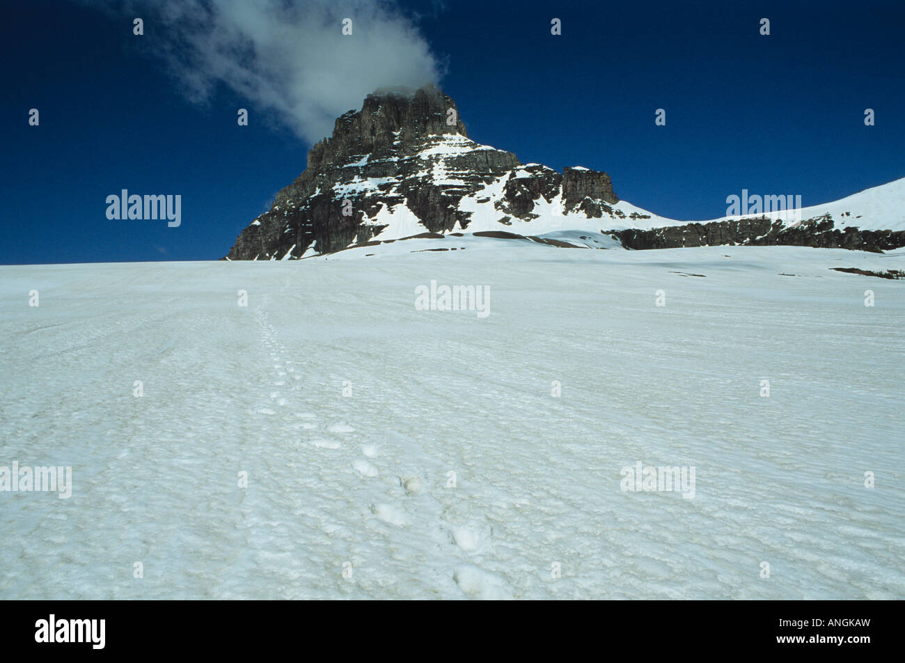 Mt. Clements and snowfield in early spring, Logan Pass, Glacier National Park, Montana  USA Stock Photo