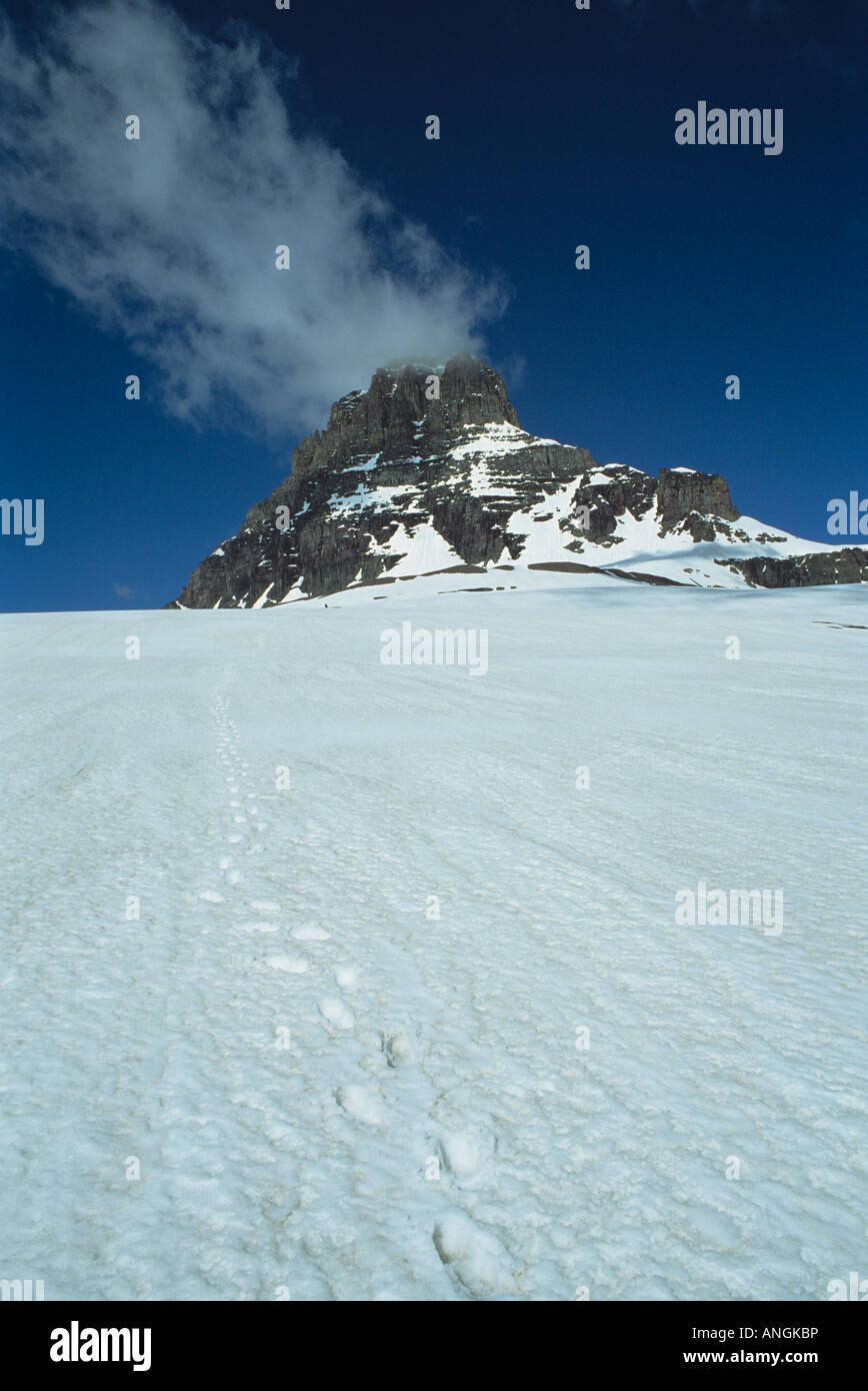 Mt. Clements and snowfield in early spring, Logan Pass, Glacier National Park, Montana  USA Stock Photo